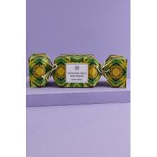 Cedar Nomade 40 Incense Cones with Holder