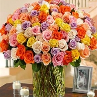 Beautiful Roses: 100 Multi ...