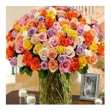 Beautiful Roses: 100 Multi Colored Roses