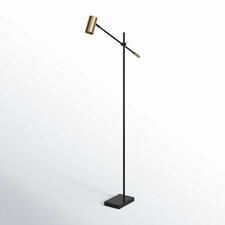 Flemings 63'' Dimmable LED Floor Lamp, Black