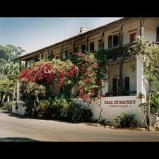 Bougainvillea in Summertime