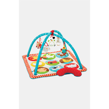 Skip Hop 'Funky Farmyard' Activity Gym | Nordstrom