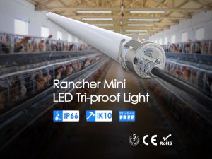 Rancher IP69K LED Tri-Proof...