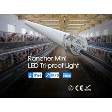 Rancher IP69K LED Tri-Proof Light