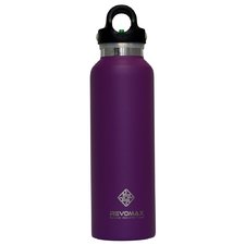 Purple 20 oz Classic Thermal Flask with Quick-Release Cap