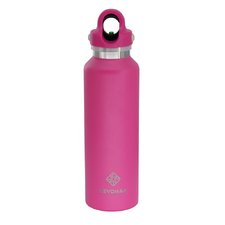 Pink 20 oz Thermal Flask | RevoMax Innovations LLC

