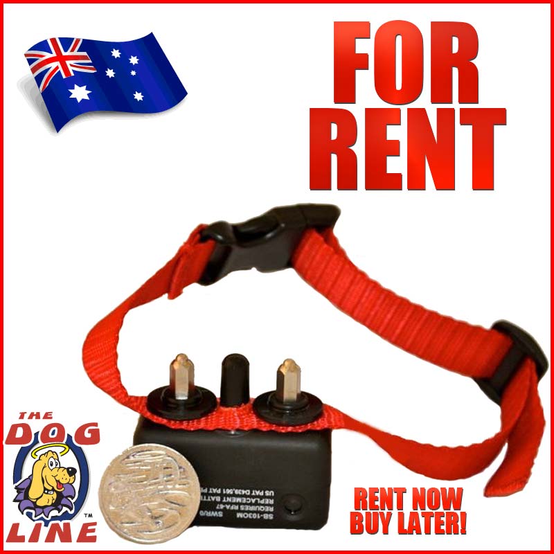 Rent a Bark Control Collar ...