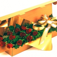 Red Roses In A Box - Best P...