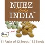 NUEZ-AMZ-10 1-PACKS