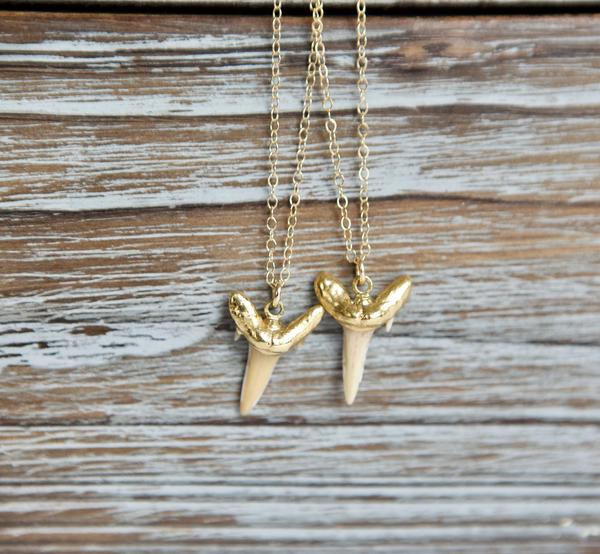 Shark Tooth Pendant Gold Fi...