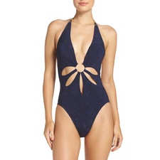Robin Piccone Plunge One-Piece Swimsuit