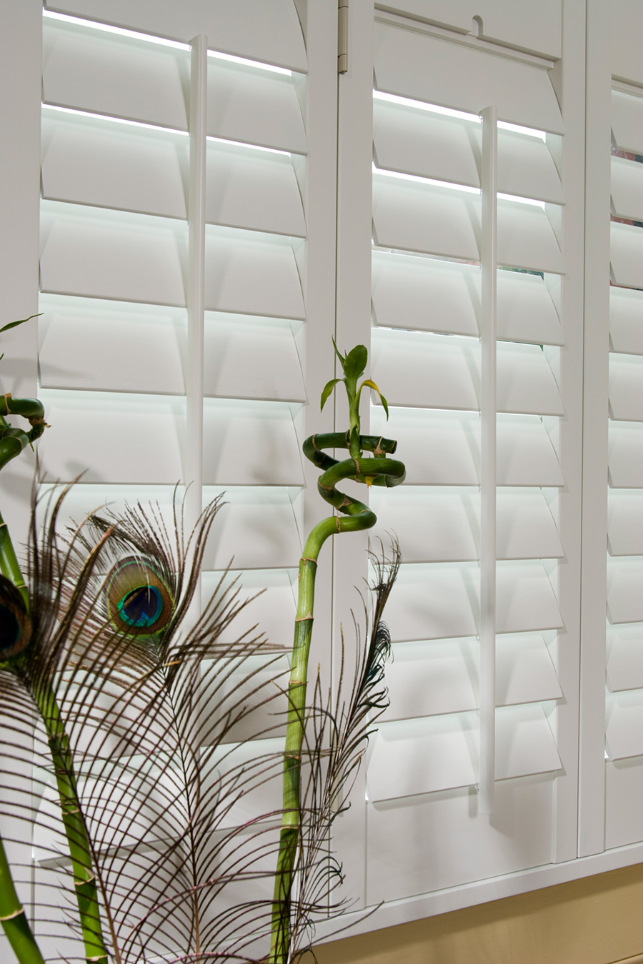 Seattle Shutters East Sussex