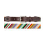 Mulit-colored Stripe Needlepoint Belt