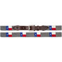 Texas Flag Needlepoint Belt