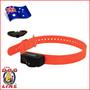 SportDog Bark Collar SDBC6 with 2 FREE Batteries