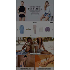 Ecommerce Web Designers In Delhi