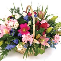 Get Flower Basket at Best P...