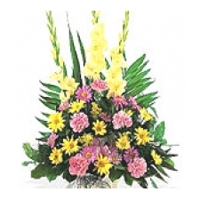 Rose and Carnation Hand-Tied - Stylish Gift