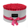 Pink Roses Blooms Box at Be...