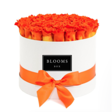 Buy Medium Round Blooms Box of Orange Roses - Blooms Box