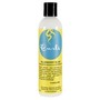 CURLS Blueberry Bliss Reparative Leave In Conditioner