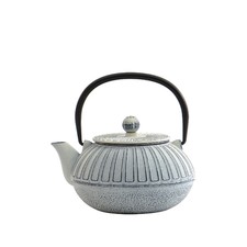   Cast Iron White Teapot