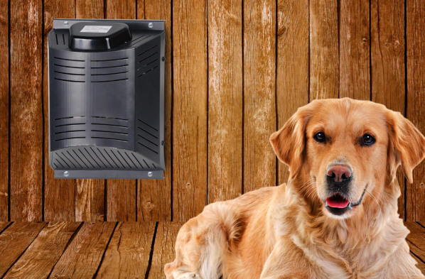 Dog House Heater and Fan
