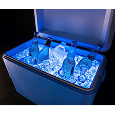 LED Cooler Lights