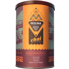 MesoAmerican Molina Chai |Unique Tasting Chai