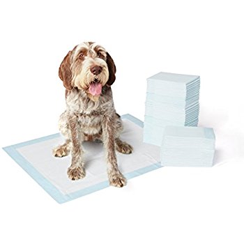 Amazon.com : AmazonBasics Pet Training Pads, Extra-Large - 60-Count : Pet Supplies