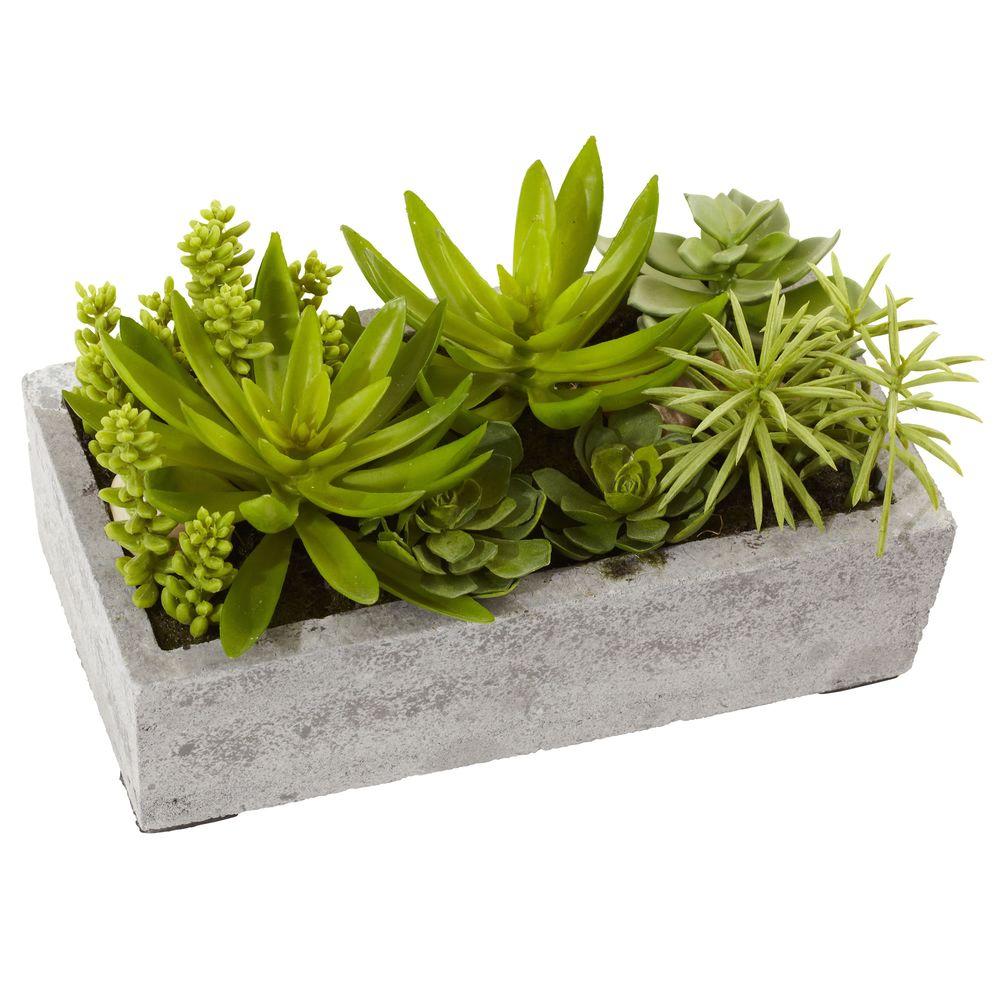 Nearly Natural Succulent Garden with Concrete Planter