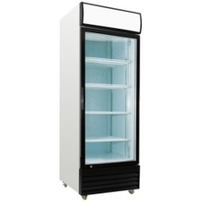 Norsk Tall Single glass door fridge 430lt - Image 1
