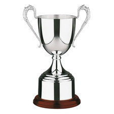 Silver Plated Trophies - J379B 9"