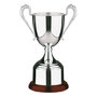 Silver Plated Trophies - J379B 9"