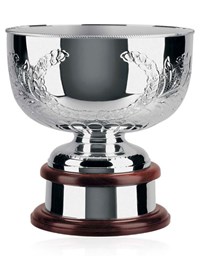 SILVER PLATED SUPREME CUP, ...