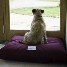 Orthopedic Dog Bed Waterproof Luxury Mattress