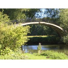 My First Brighton SEO