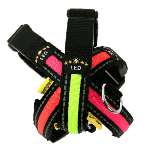Flashing dog collar for dogs