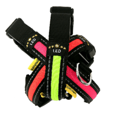 Flashing dog collar for dogs