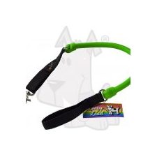 Dog Collars and Leads