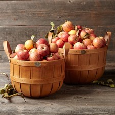 Peterboro Gathering Baskets, Set of 2