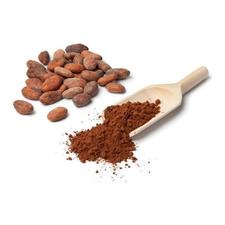 Raw Organic Cacao Powder 200g - NourishmeOrganics