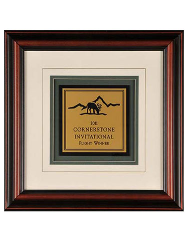 Engraved Framed Awards - FE...