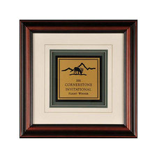 Engraved Framed Awards - FESH45X45
