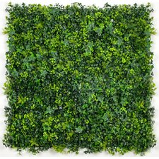 UV Mixed Ivy Vertical Garden (1m x 1m) – Designer Vertical Gardens