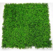 UV Dense Buxus Vertical Garden (1m x 1m) – Designer Vertical Gardens