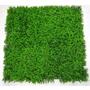 UV Dense Buxus Vertical Garden (1m x 1m) – Designer Vertical Gardens