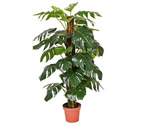 Artificial Philodendron Pla...