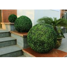 UV Boxwood Topiary Ball - 48cm – Designer Vertical Gardens
