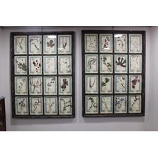 Large Pair of Italian Framed Flower Pressings